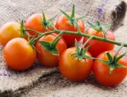 За какво са полезни доматите?