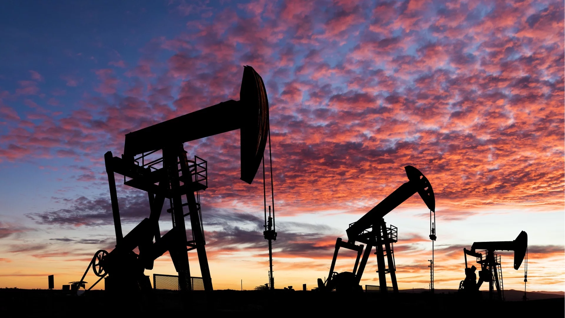 Цените на петрола продължават в необичайна посока заради търсенето 