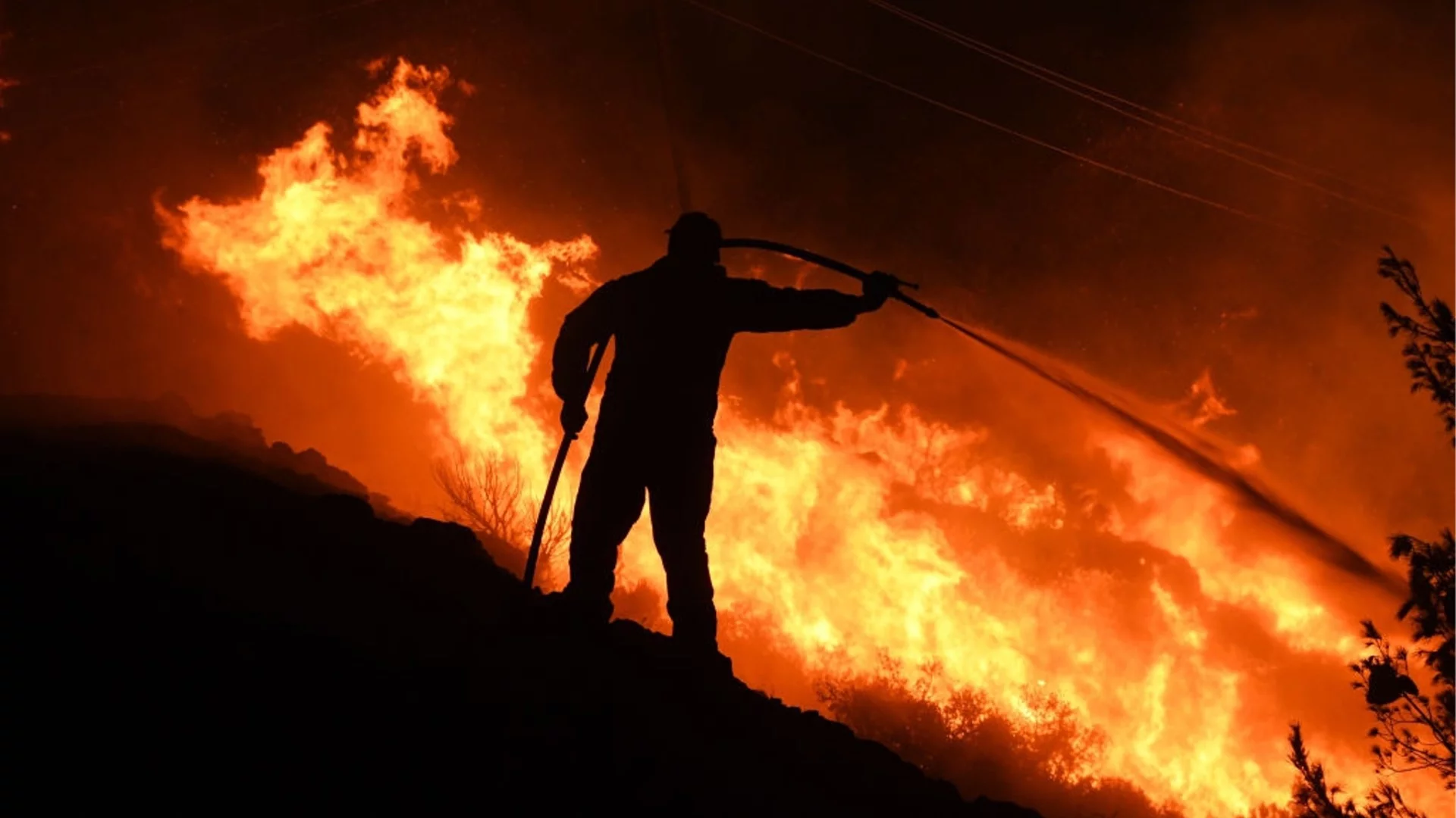 Пожар гори в маслопреработвателен завод в Кнежа