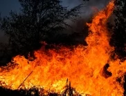 Нов горски пожар в Гърция доведе до евакуация в три населени места (ВИДЕО)