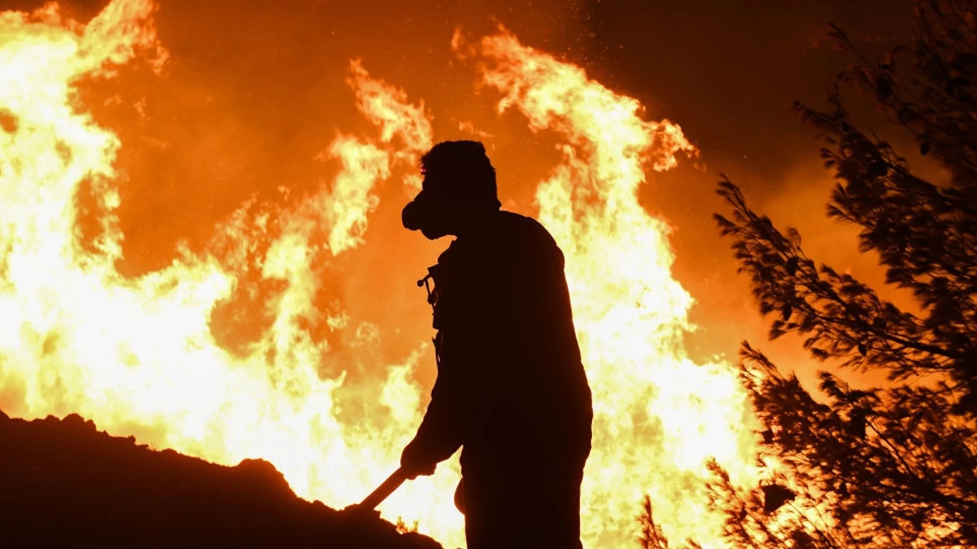 Два големи пожара бушуват в Южна България
