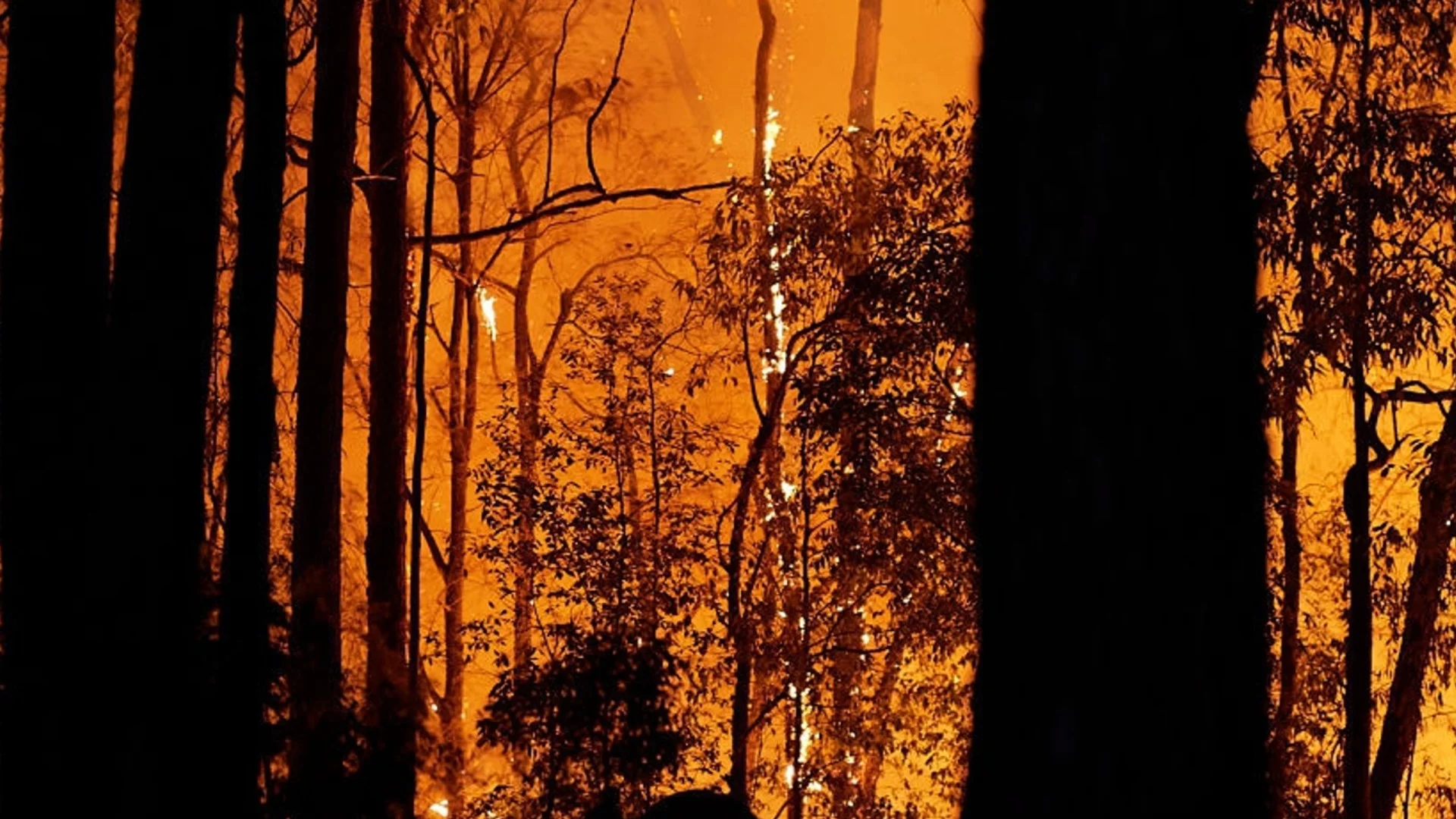 Фойерверки предизвикаха горски пожар в Гърция (ВИДЕО)