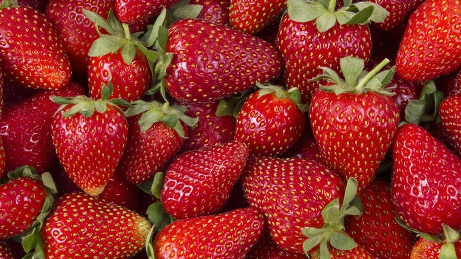 Топ съвети за градинари: Какво да направите, ако ягодите не са сладки