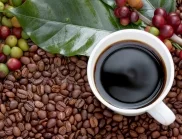 Въпреки сушата, някои ферми за кафе процъфтяват: Ще спре ли това поскъпването?