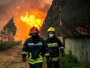 Огнен ад в завод за литиеви батерии в Южна Корея: Откриха десетки тела (ВИДЕО)