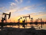 Цените на петрола поддържат курса в необичайна посока 