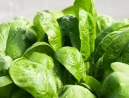 Без холестерол и отоци: 5 зеленчука, които трябва да добавите в чинията си
