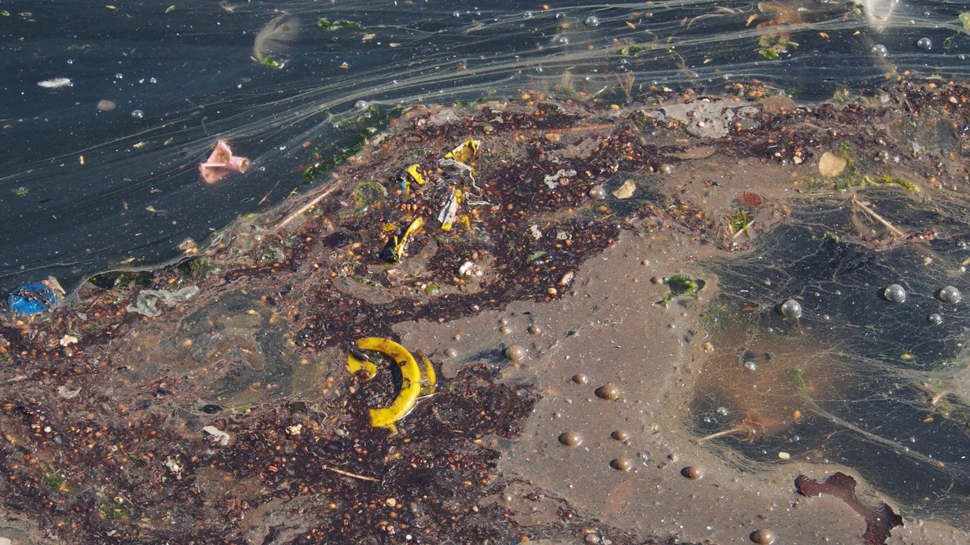 Гейзери и реки от нефтен отпадък потекоха в Русе