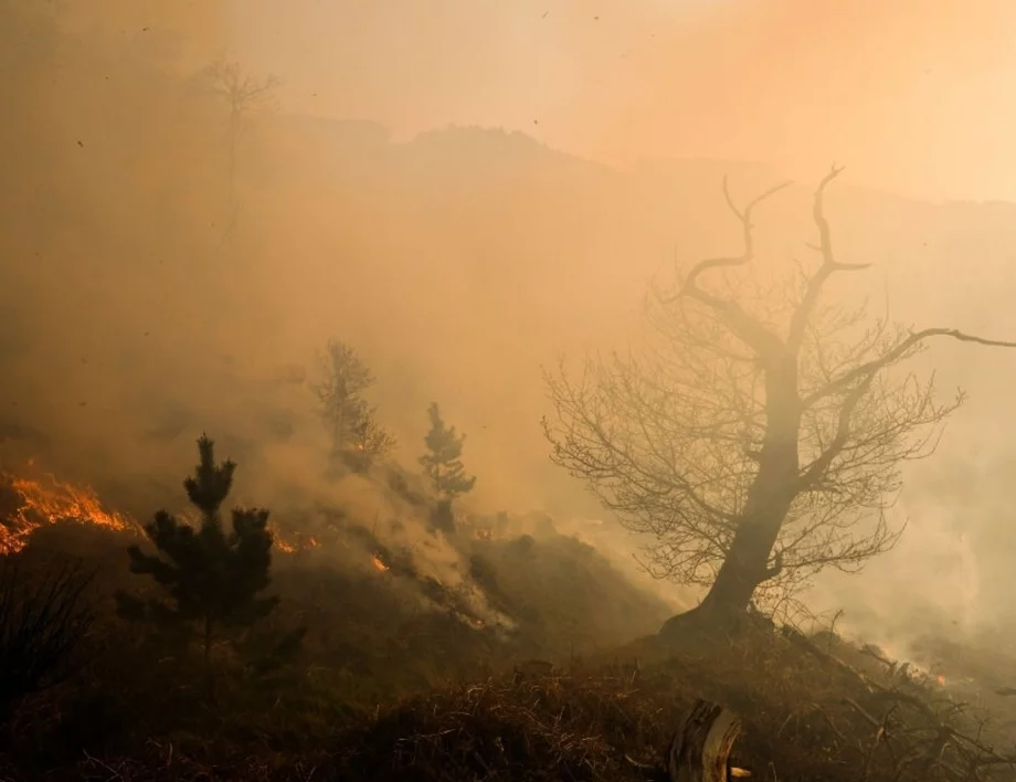 Огромни горски пожари бушуват в Русия (ВИДЕО)