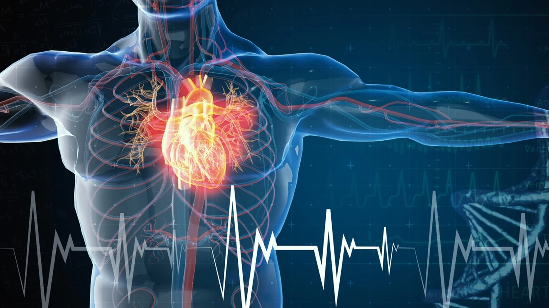 Тест за седене и изправяне разкрива здравето на сърцето ви: Лекарите твърдят, че разкрива колко дълго ще живеете