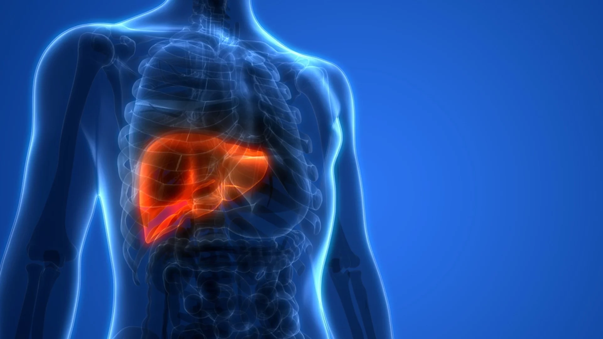 Какво се случва с черния дроб и бъбреците, ако отслабнете с повече от 4 кг за месец