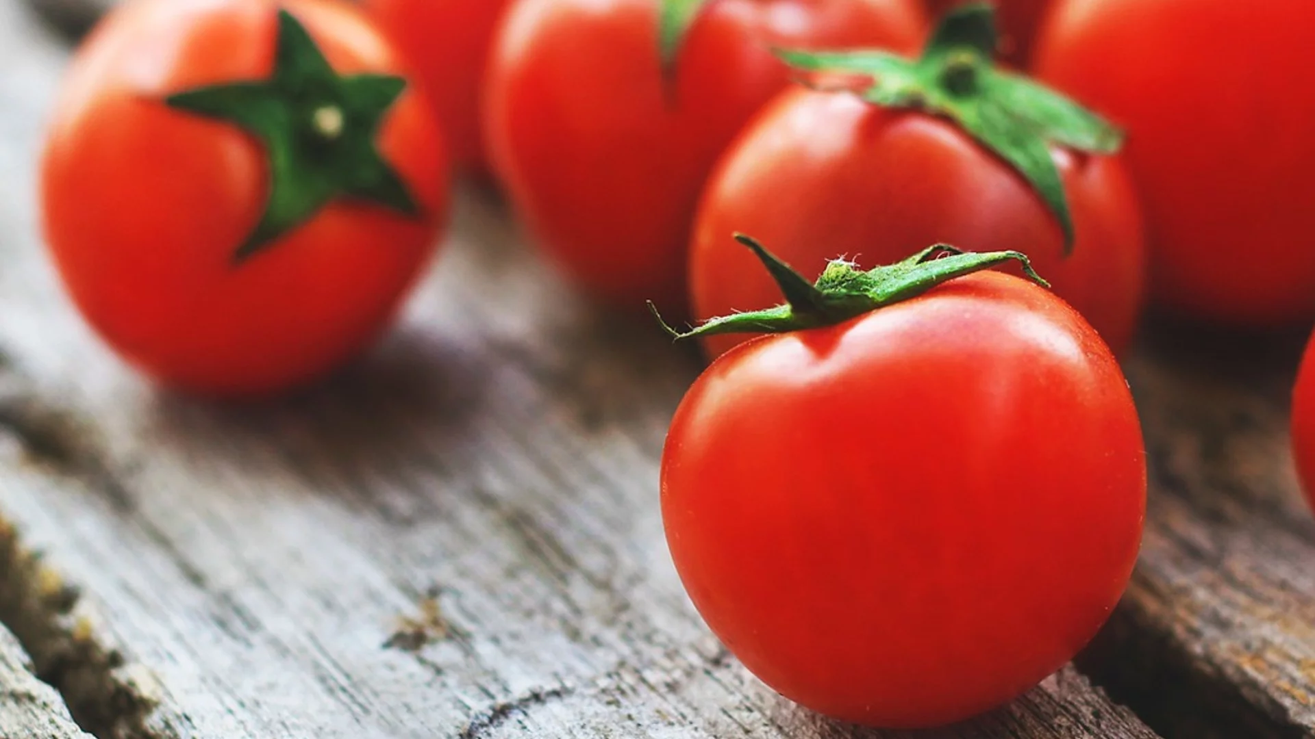 Как правилно се сушат домати на слънце?