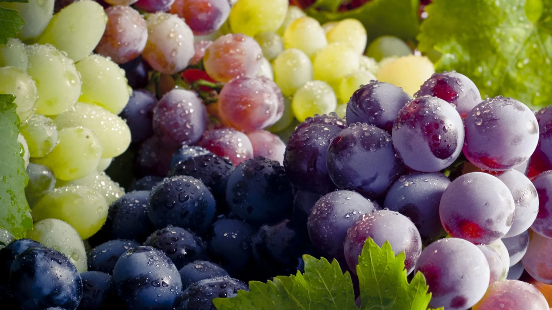 Този тип грозде ни предпазва от загуба на зрението