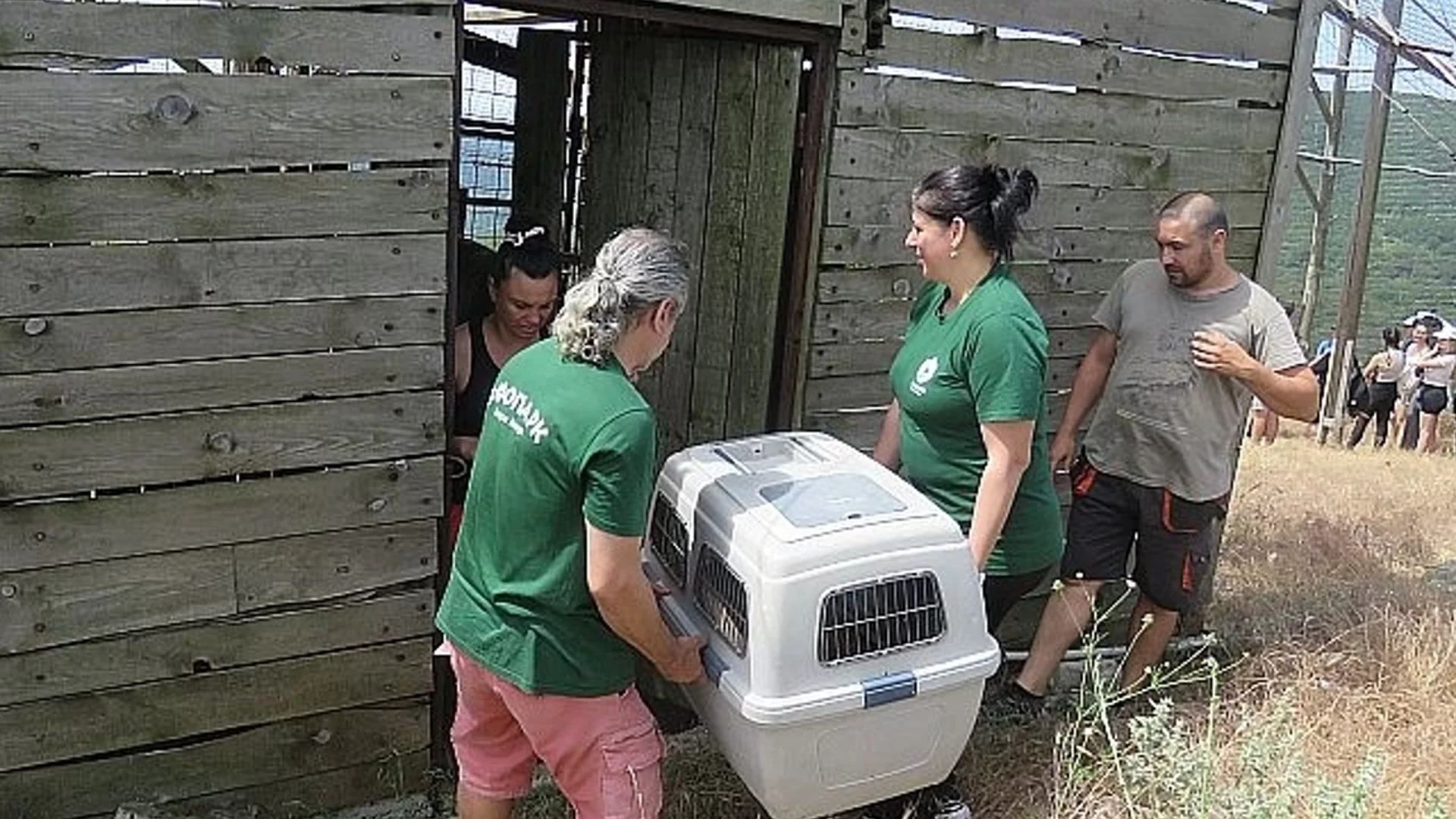 Започва дарителска кампания за белоглавите лешоядчета в зоопарк Стара Загора