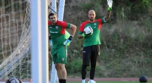 Владислав Стоянов работи като шофьор във Виена?