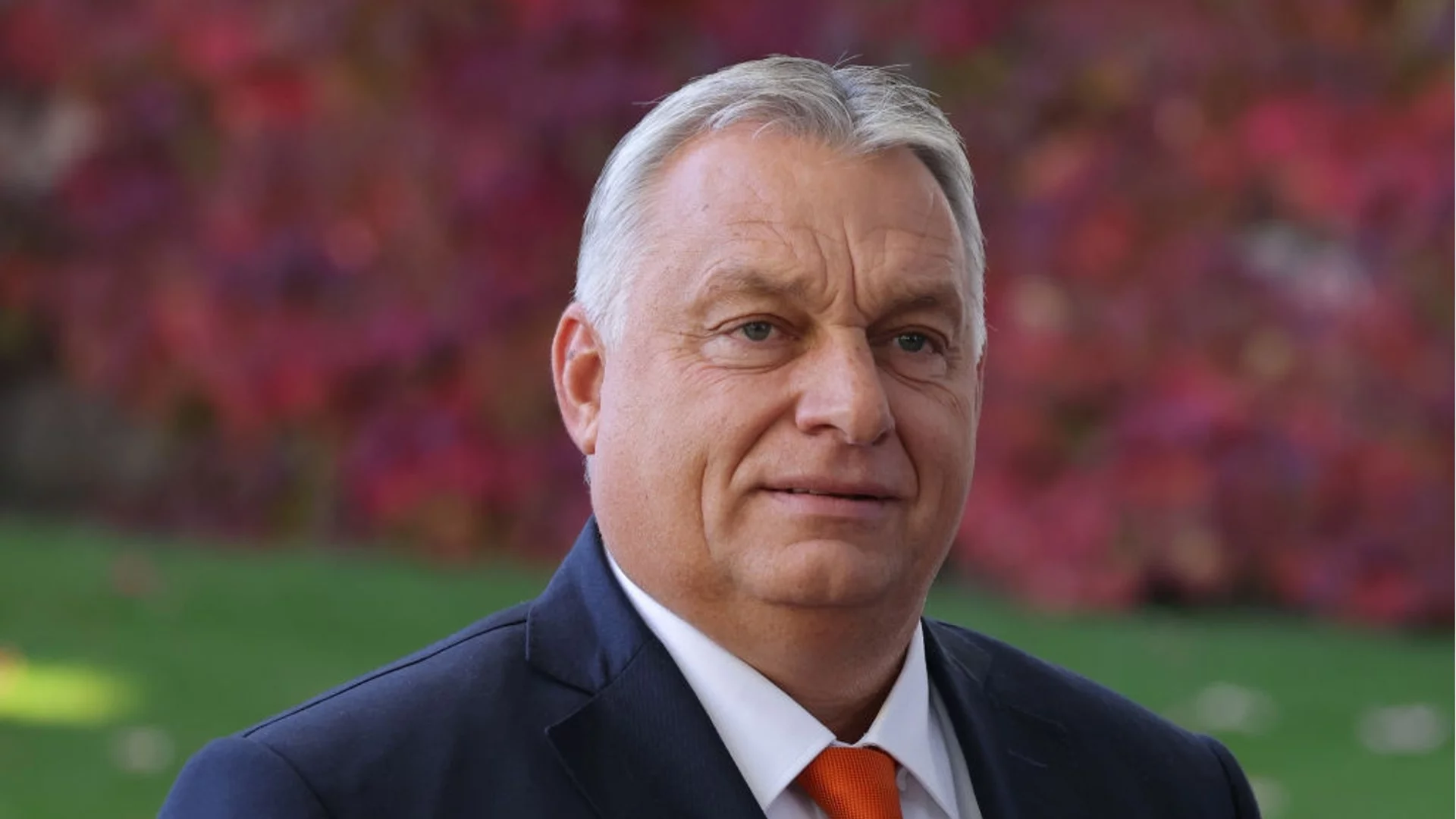 Орбан и Тръмп обсъдиха възможностите за мир в Украйна (СНИМКА)