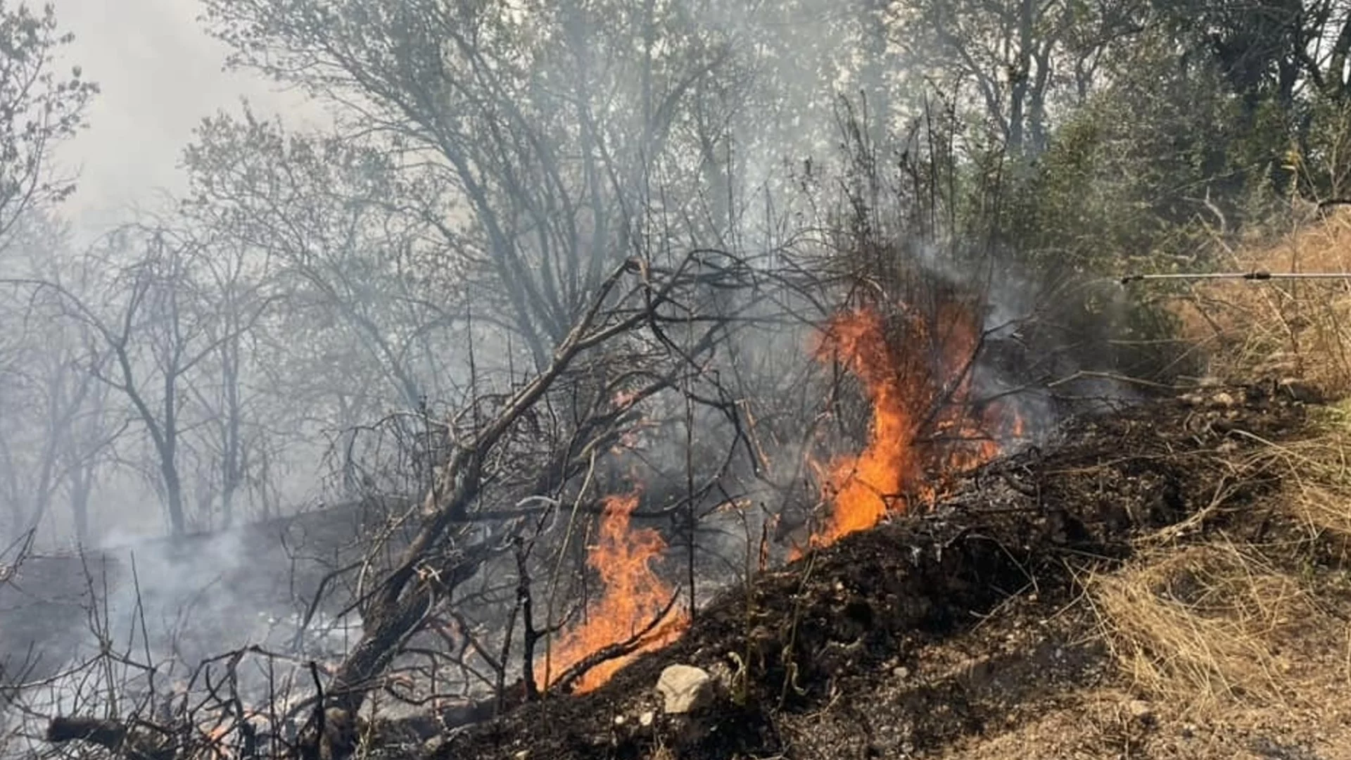 Община Хисаря спешно търси доброволци за гасенето на пожара