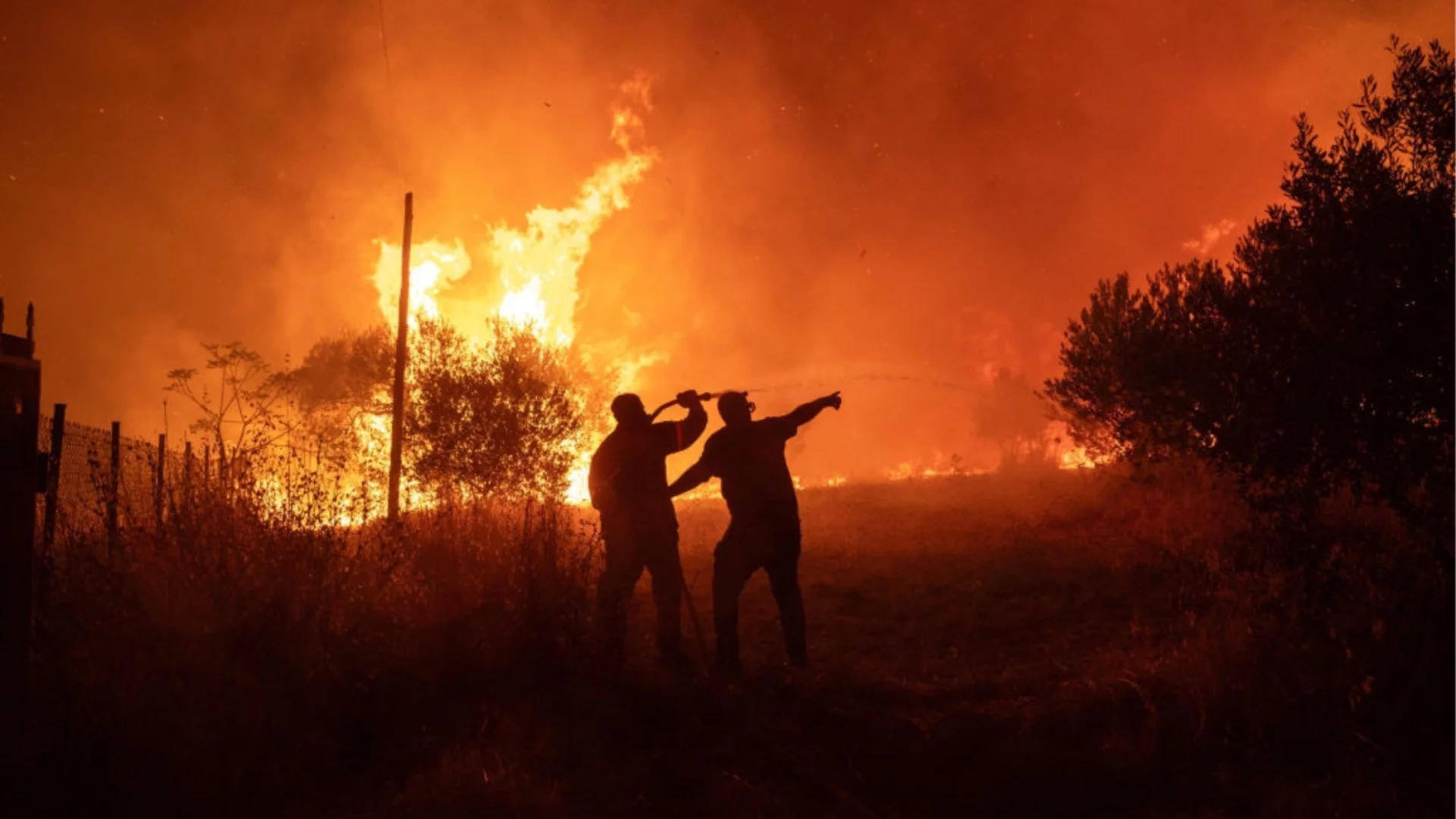 Над 50% от пожарите са причинени от небрежност, чакаме помощ от Чехия и Румъния