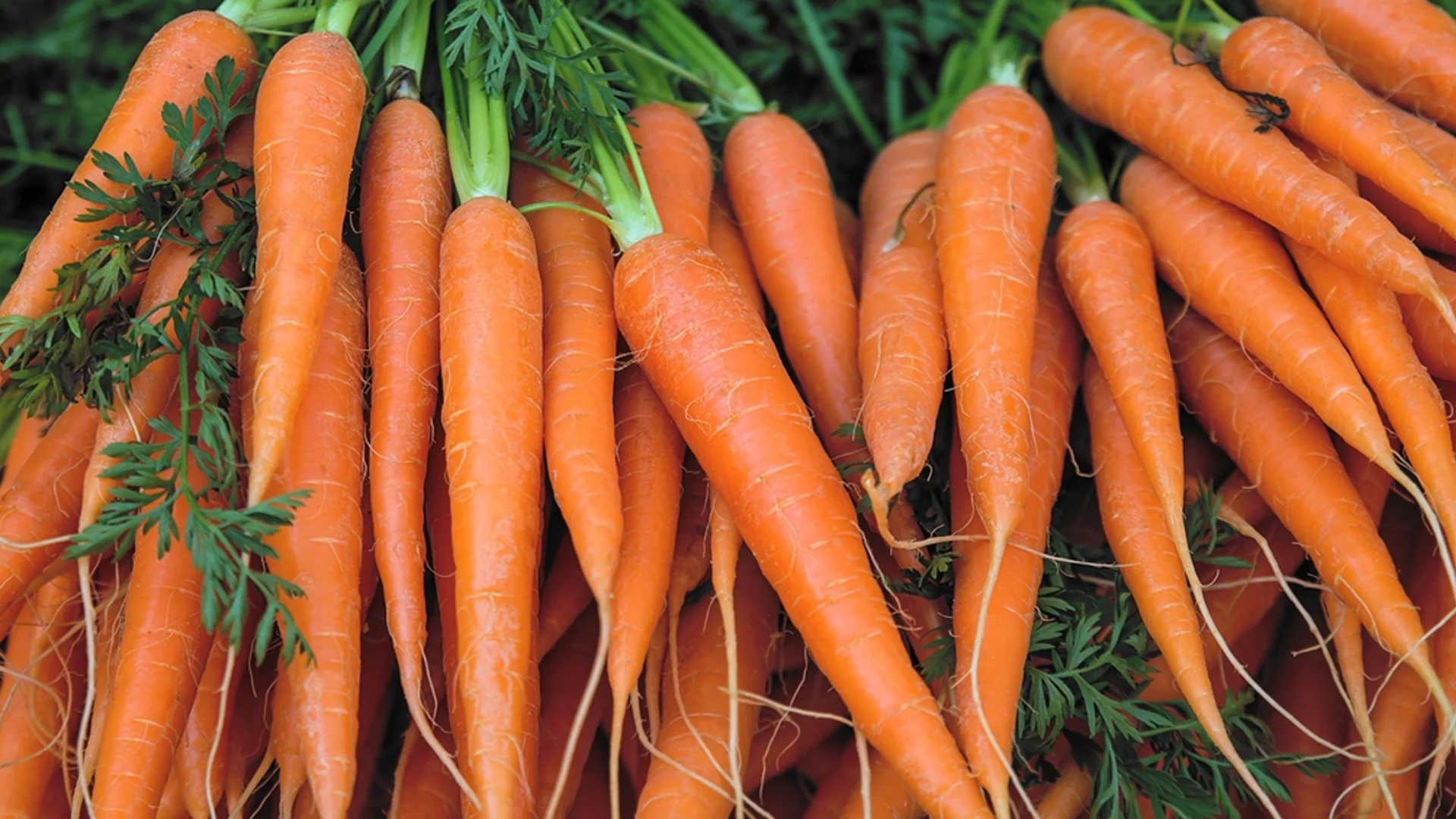 Как морковите влияят на холестерола?