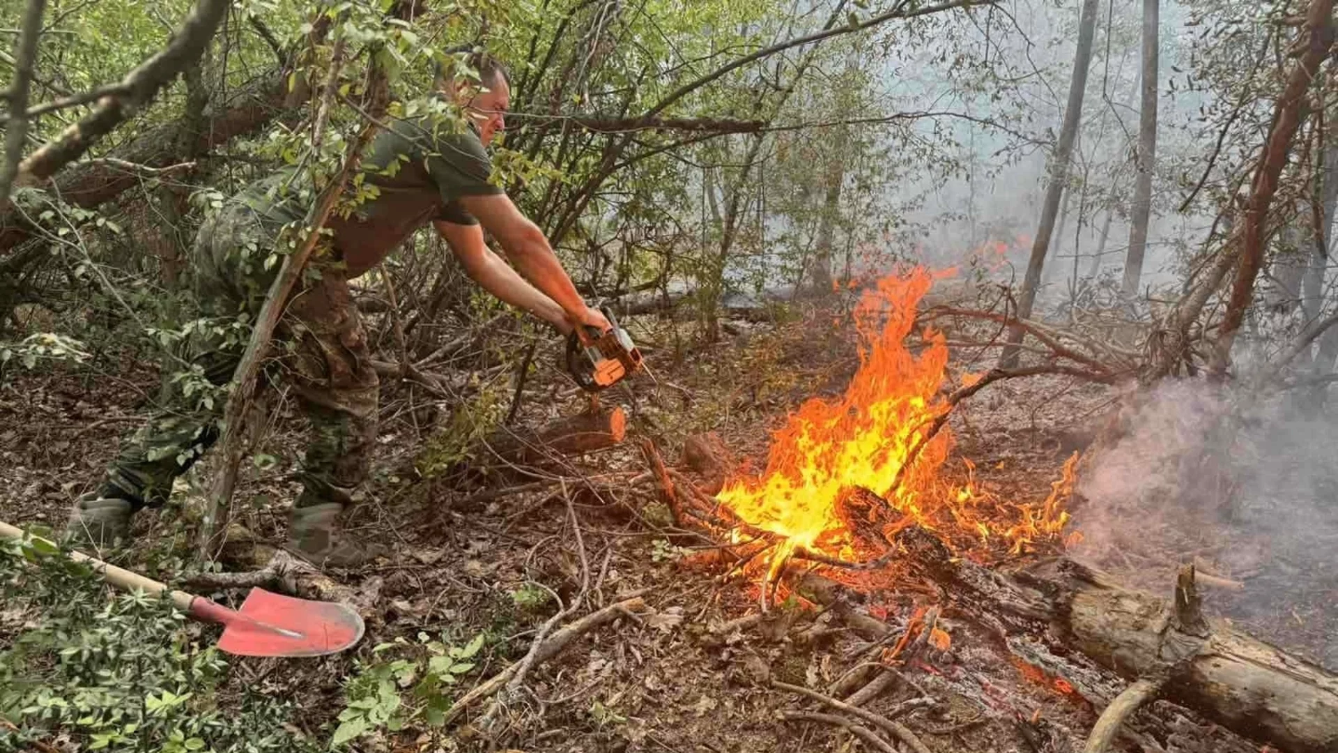 Заради пожарите: Обявиха частично бедствено положение в община Карлово