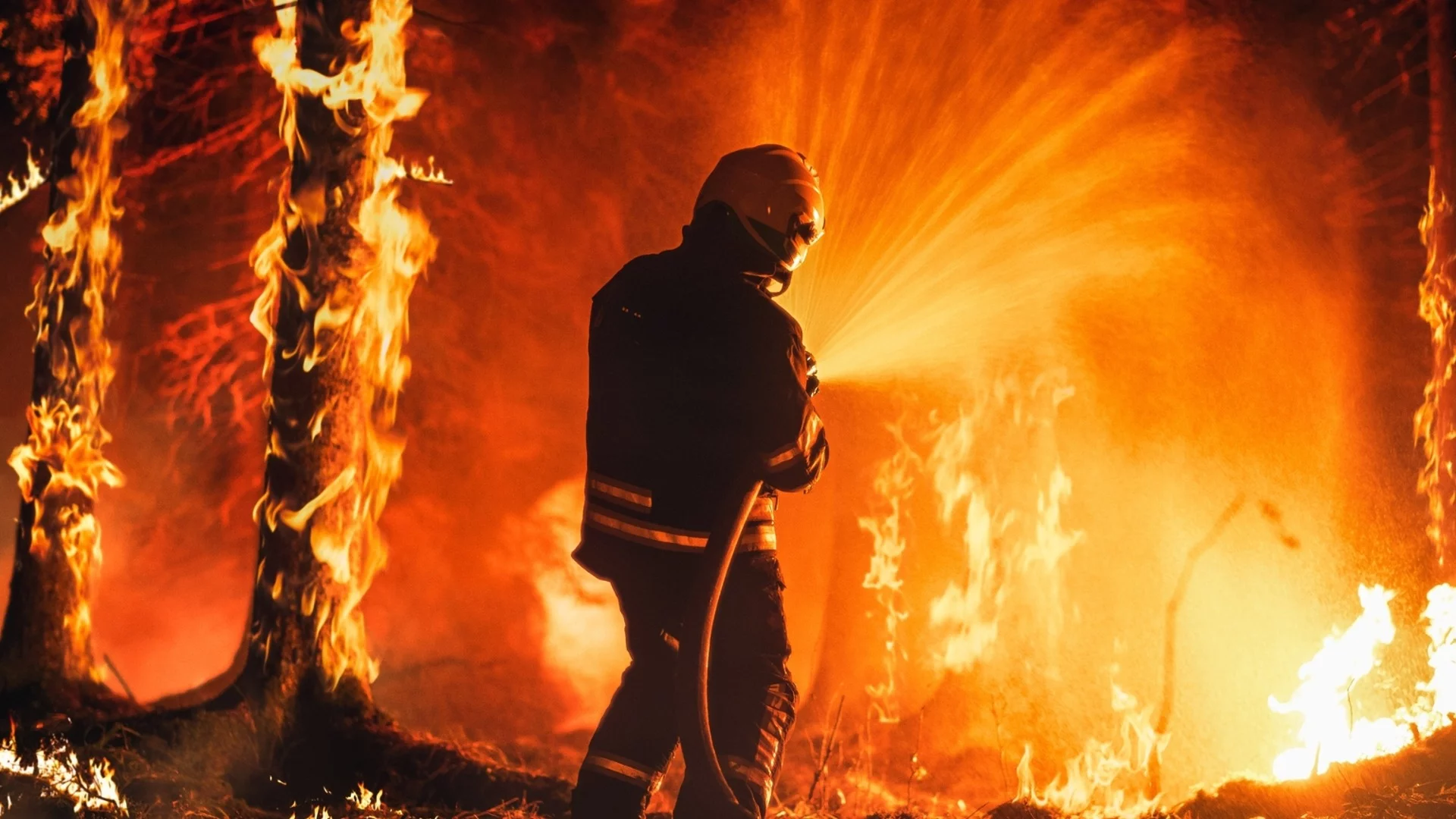 Само за ден в Албания: 18 горски пожара са потушени, 3 все още горят