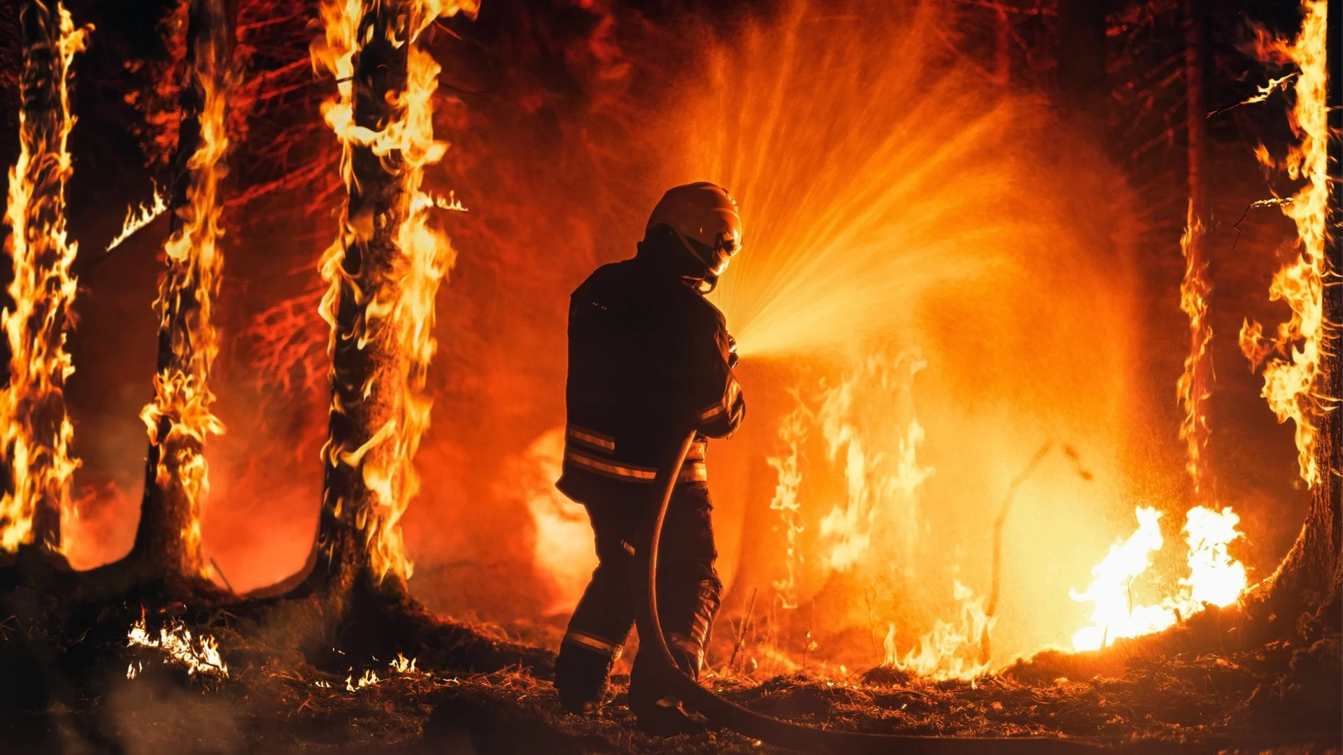 Пожарът между Драгомир и Мало Крушево се разраства, набират доброволци