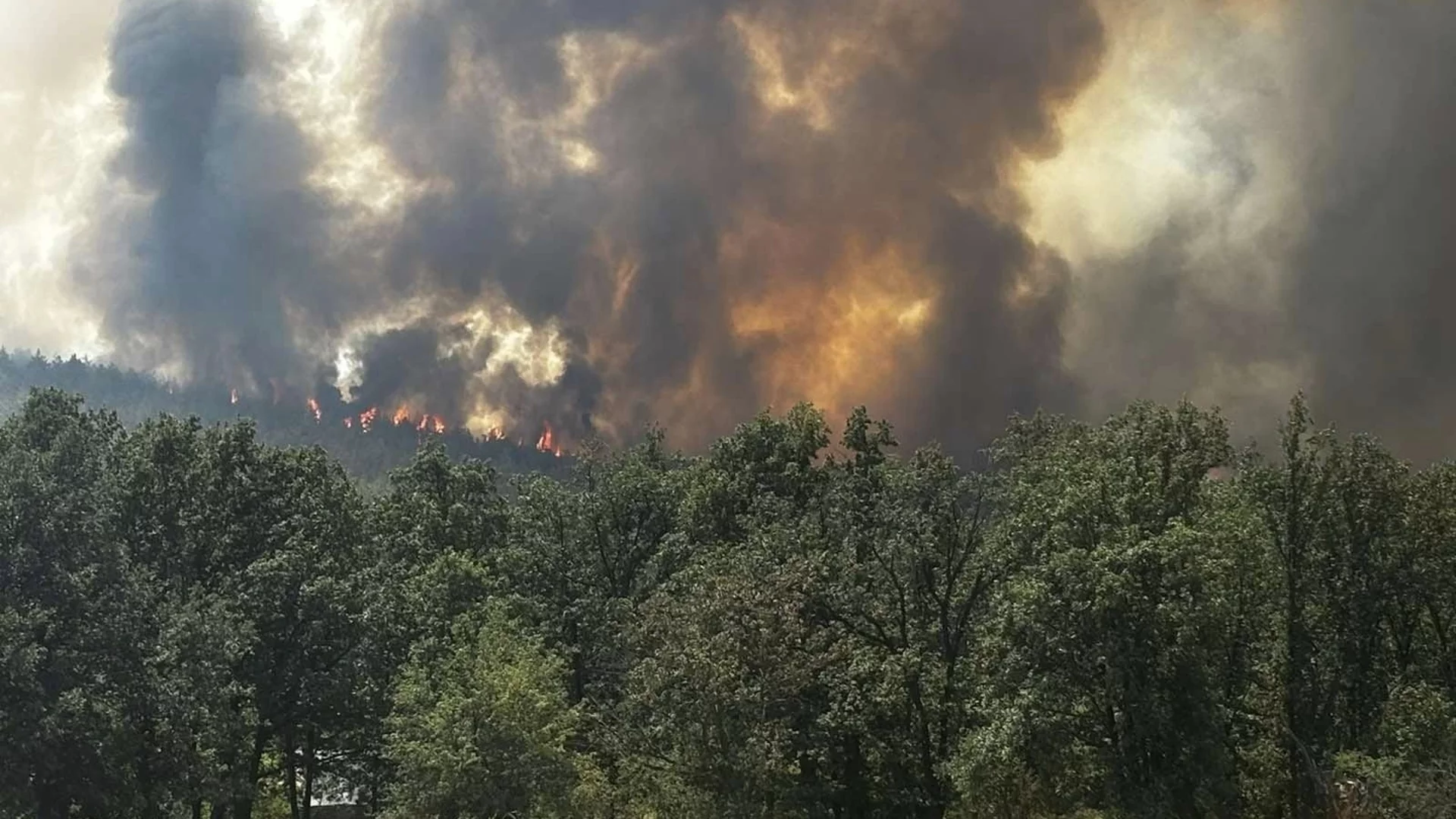 Пожар гори откъм границата с Република Северна Македония