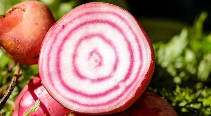 7-те най-добри храни за укрепване на имунитета