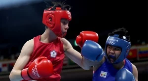 2024/08/12/7c9ff9919828c5e354f055c8253d064f