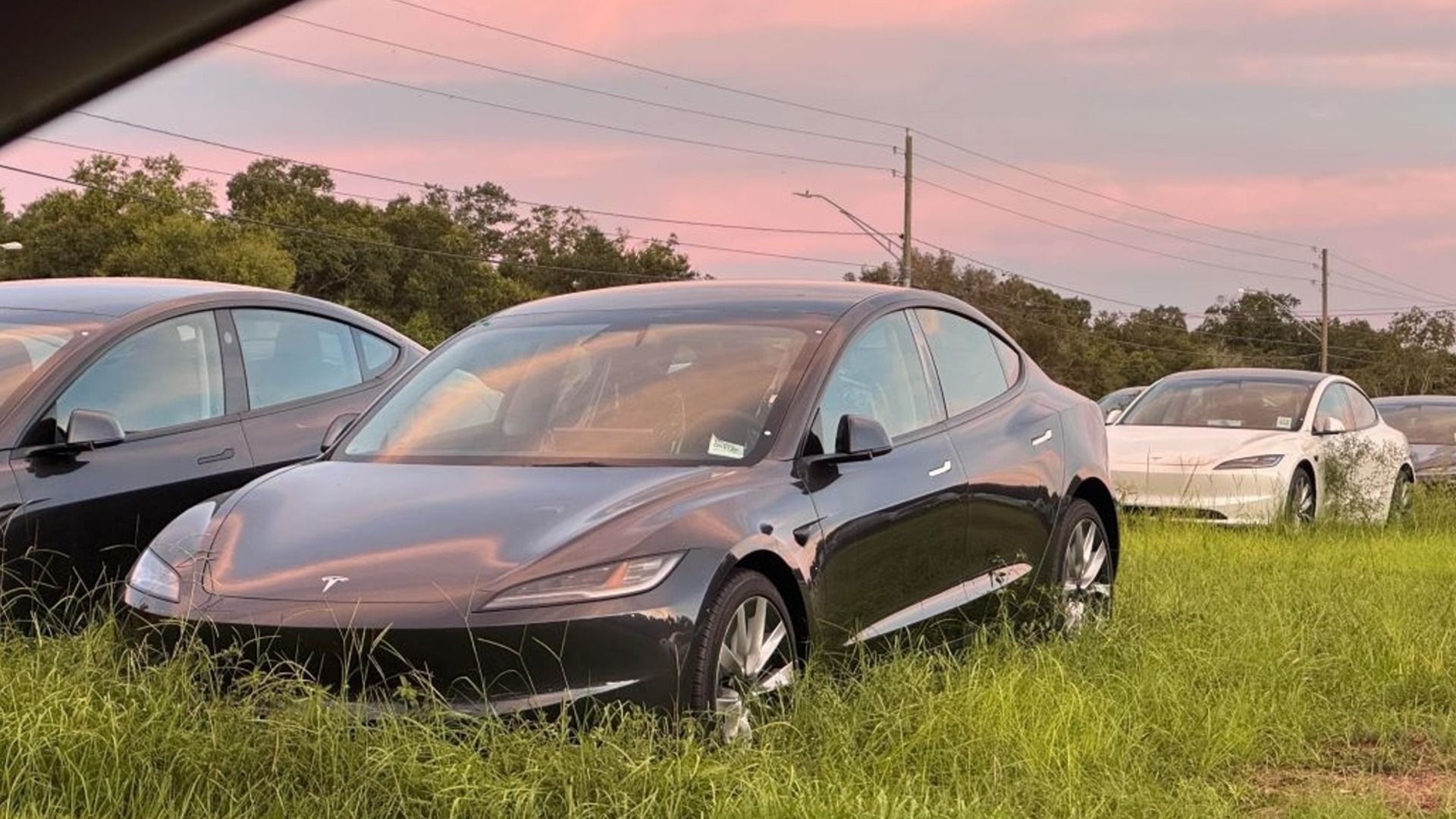 Des centaines de nouvelles voitures Tesla ont été découvertes dans un champ envahi par la végétation