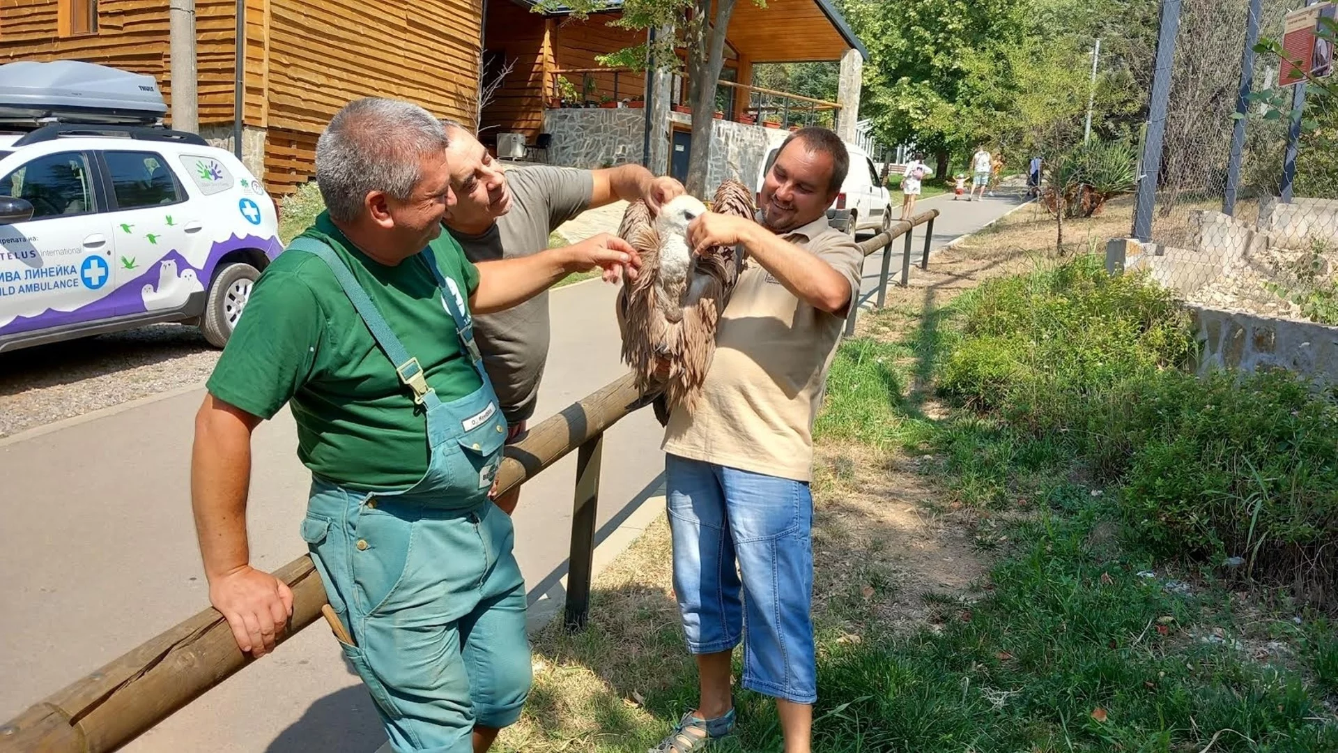 Преместиха малко лешоядче от зоопарка в Стара Загора в спасителен център