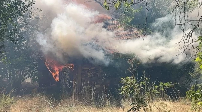 Пожар гори в гората до Каменар над Варна