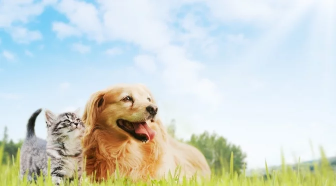 Времето утре - 10 септември 2024 г. 