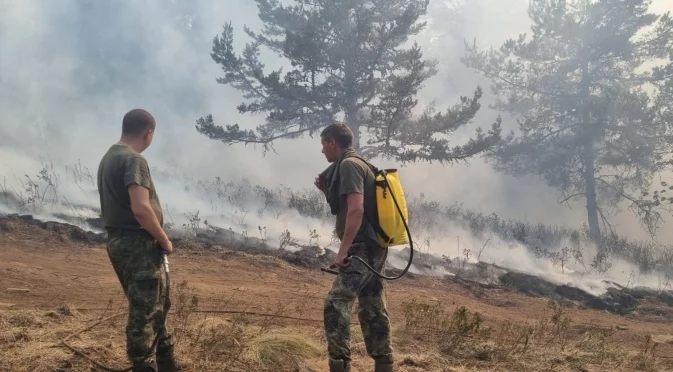 Двама души загинаха при голям горски пожар в Гърция (ВИДЕО)