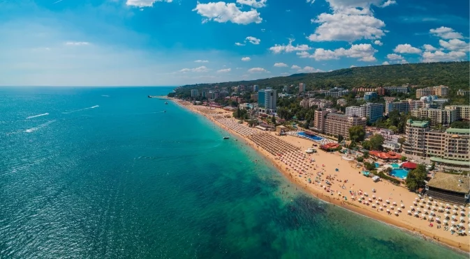 В Деня на Черно море: Екоактивисти искат създаване на морски резерват