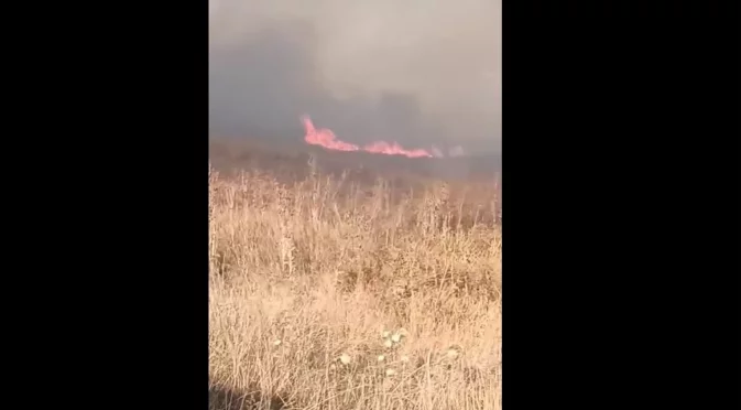 Пожар в защитена местност край Божурище (ВИДЕО)