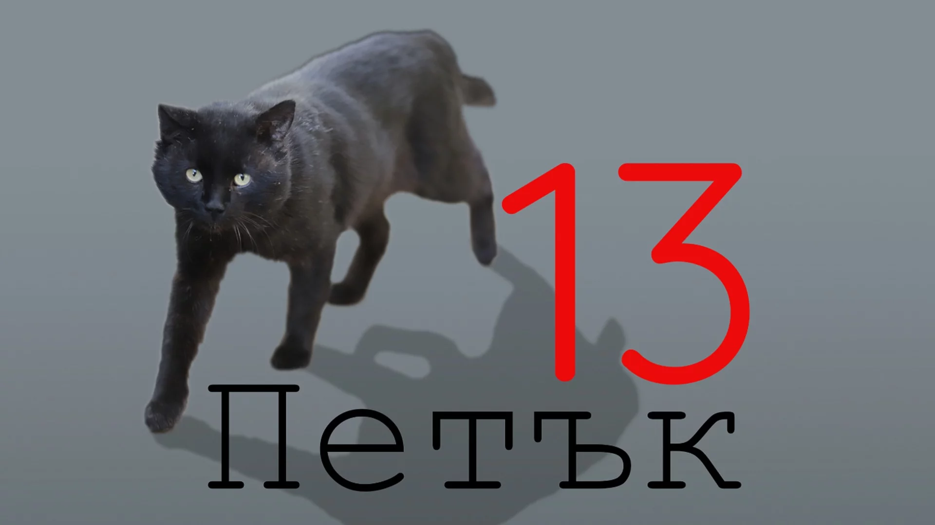 На петък 13-ти: Поне няколко черни котки ще минат път на тези зодии - няма да им върви!