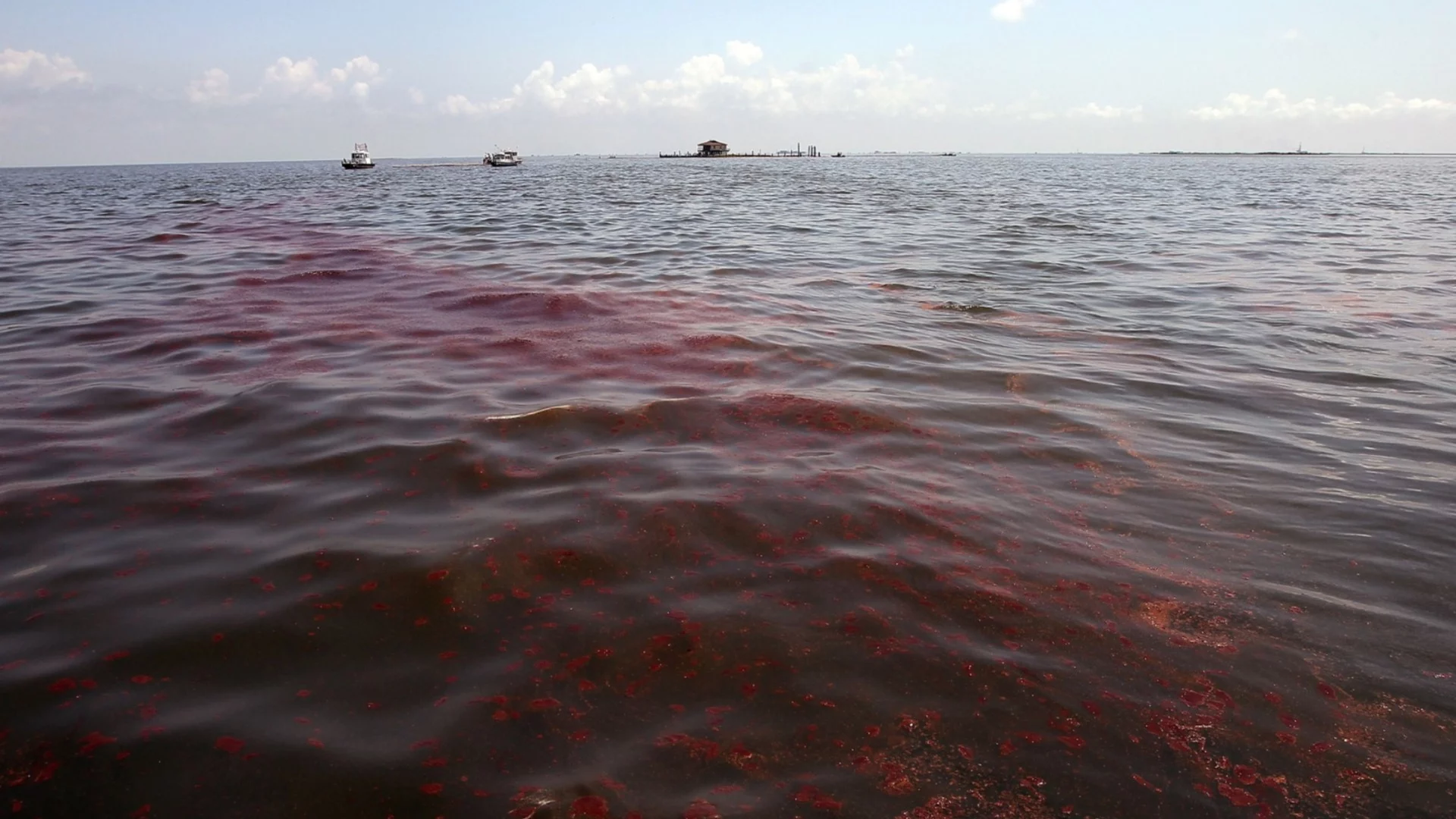 Кризата с петролния разлив в Черно море се разраства: Извънредно положение на регионално ниво в Русия