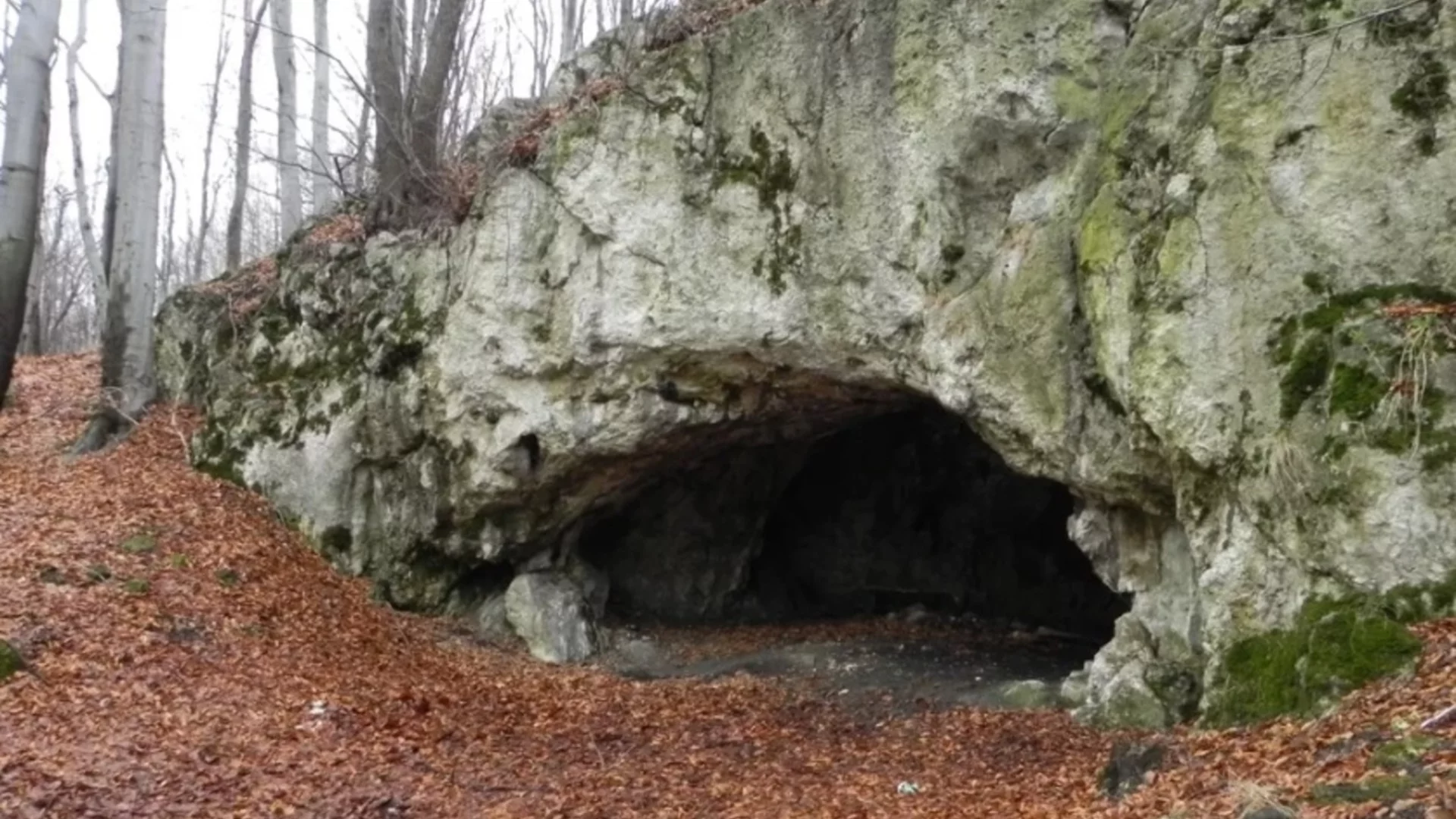 Преди 18 000 години в Полша е имало канибали, които се хранели с мозъци