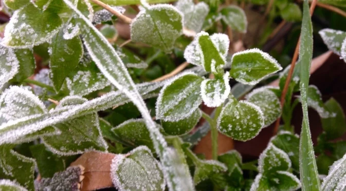 MeteoBalkans: Висок риск от слани в цяла България - на 7 март