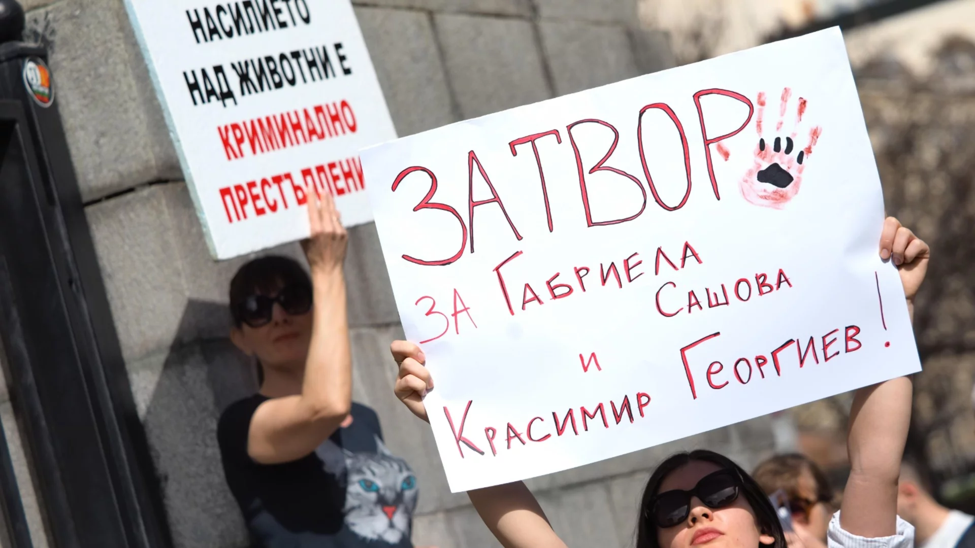 "Искаме работеща полиция": Протестите срещу насилието над животни разбудиха депутатите (ВИДЕО)