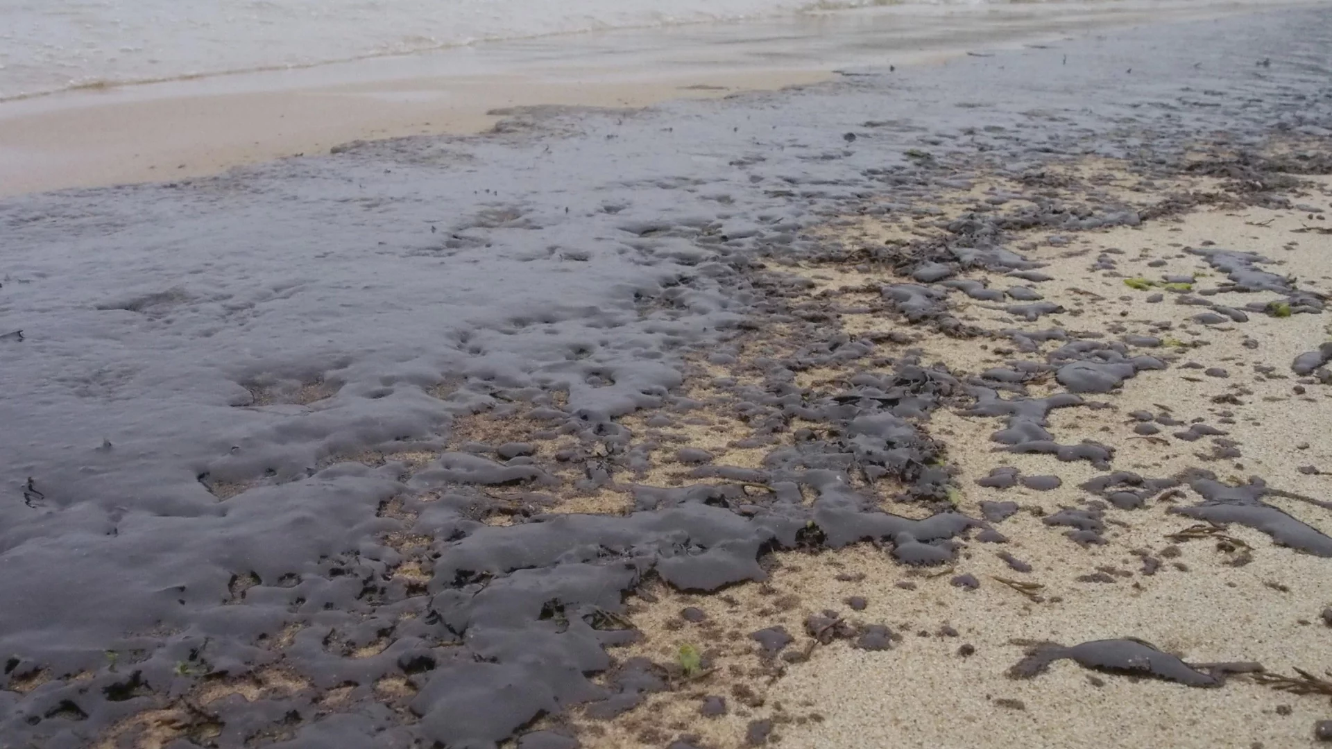 Още много мазут: Сателитни снимки показват две огромни петна в Черно море