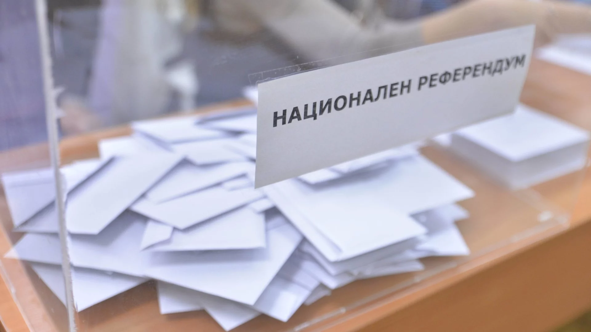 Човешката глупост: Журналист за референдума за еврото на Радев
