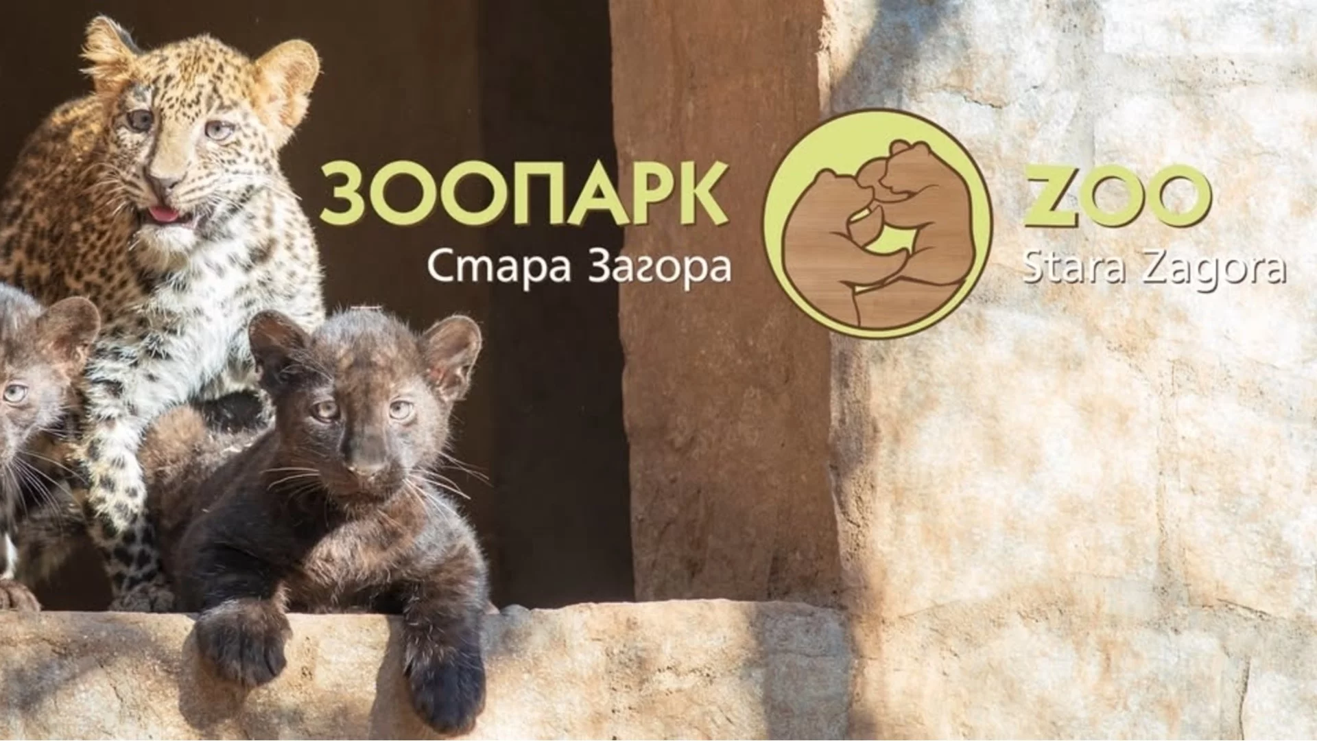 Зоопарк Стара Загора стартира доброволческа кампания