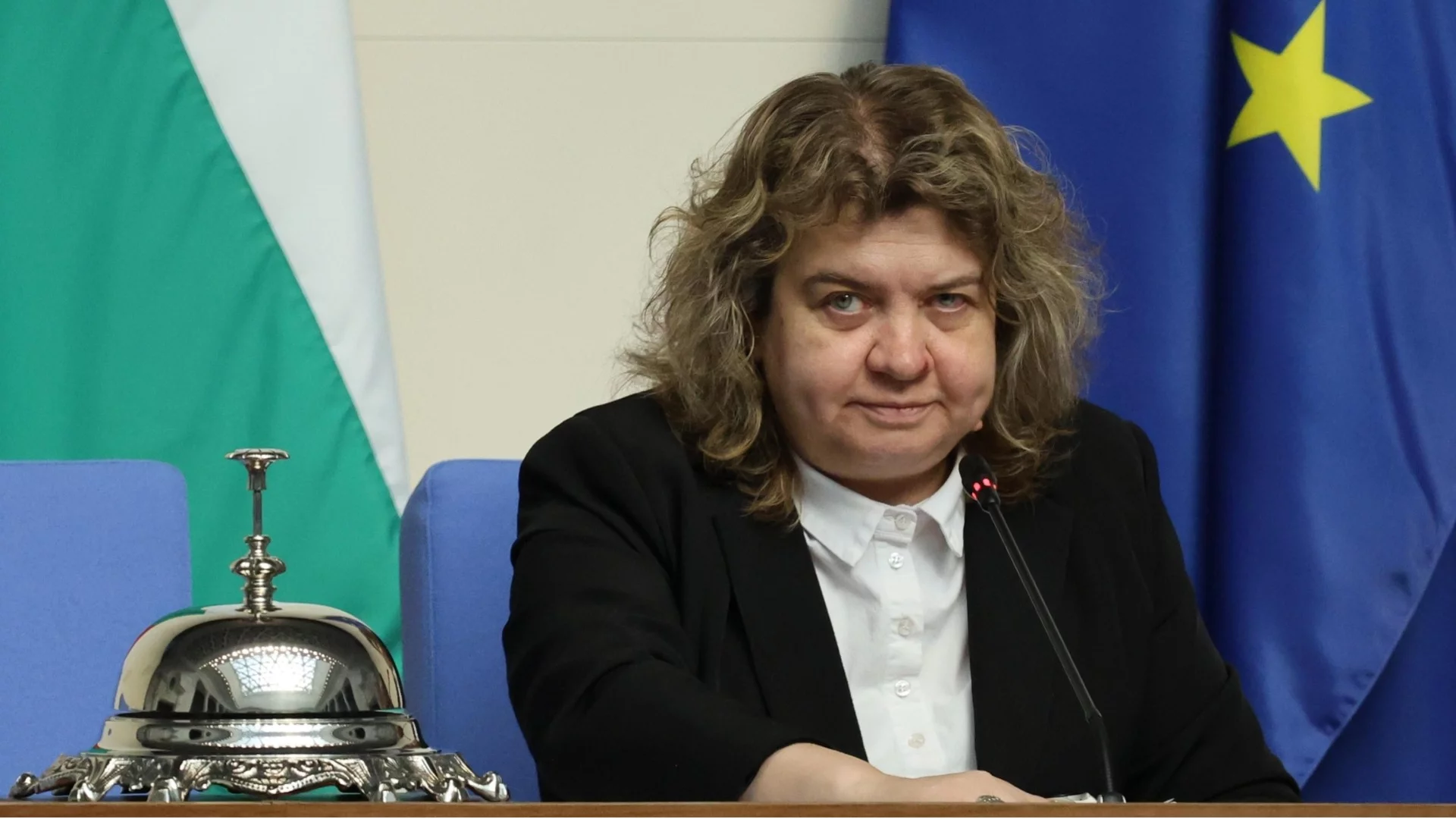 Киселова: Румен Радев има право да сезира Конституционния съд заради референдума за еврото