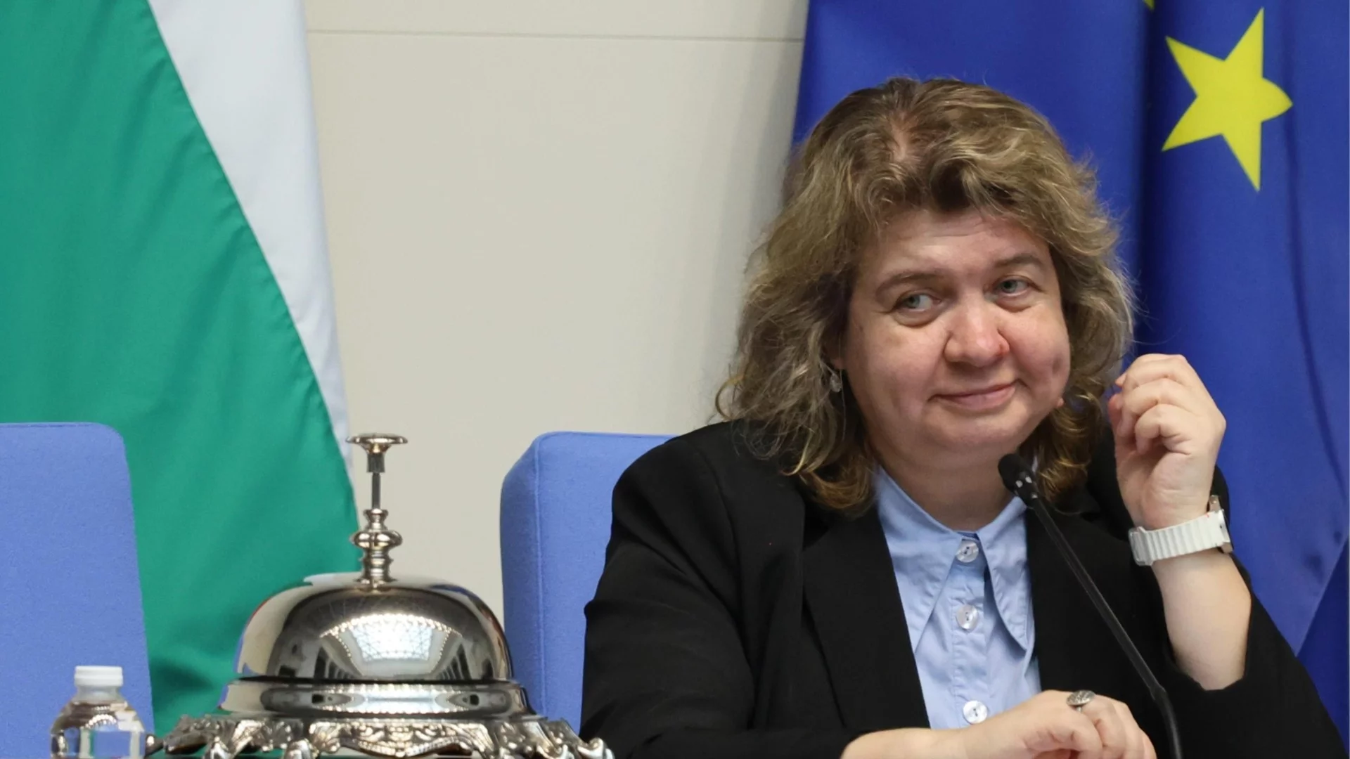 Киселова за сезирането на КС: Според мен съдът ще допусне частично искането