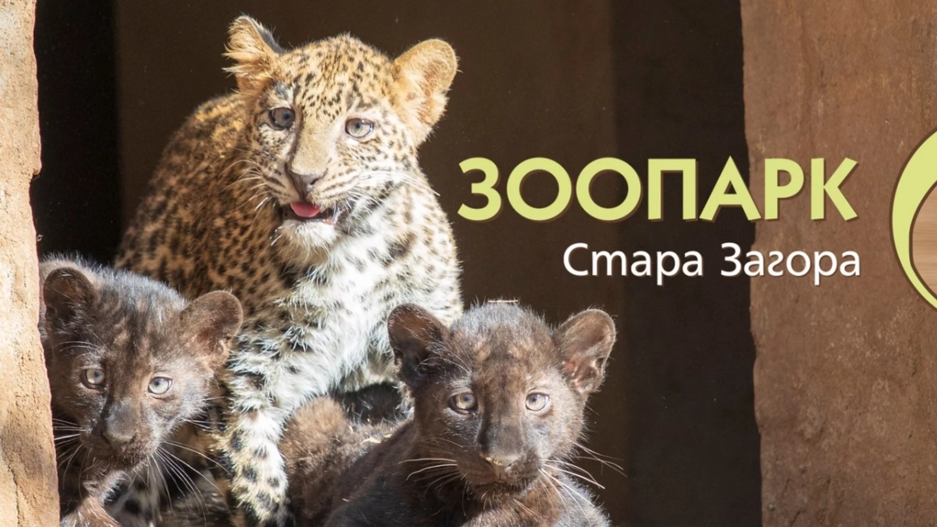 Бум на новородени животни в зоологическата градина в Стара Загора (СНИМКИ)