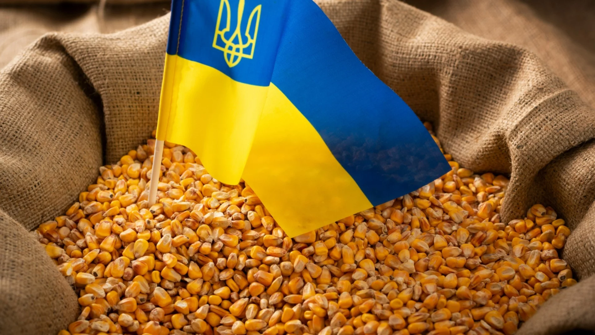 ЕС и Украйна преговарят по ново търговско споразумение за селскостопанските стоки