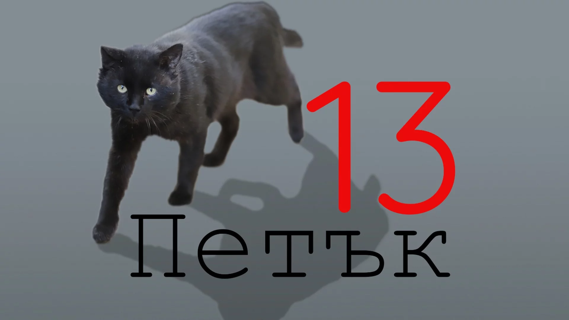 На петък 13-ти: Поне няколко черни котки ще минат път на Близнаци, Водолей + още 2 зодии!