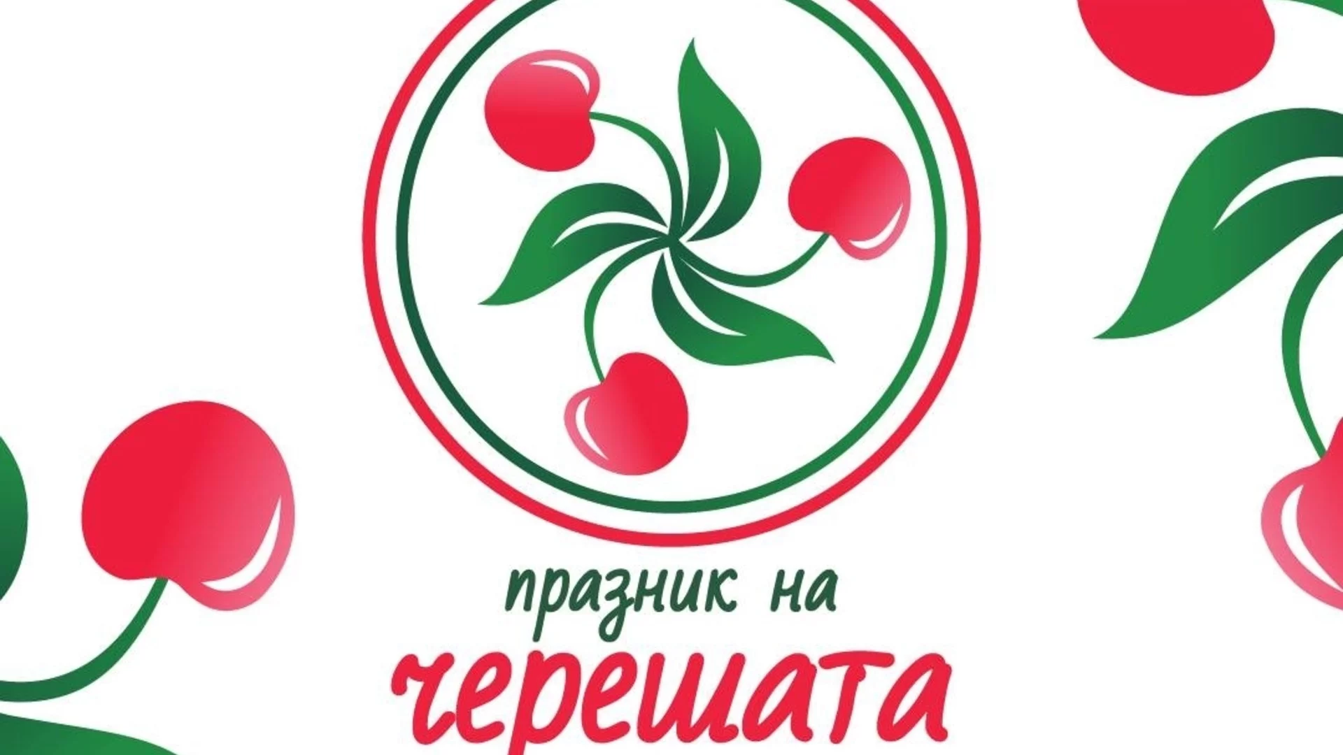 Кюстендил се готви за Празника на черешата